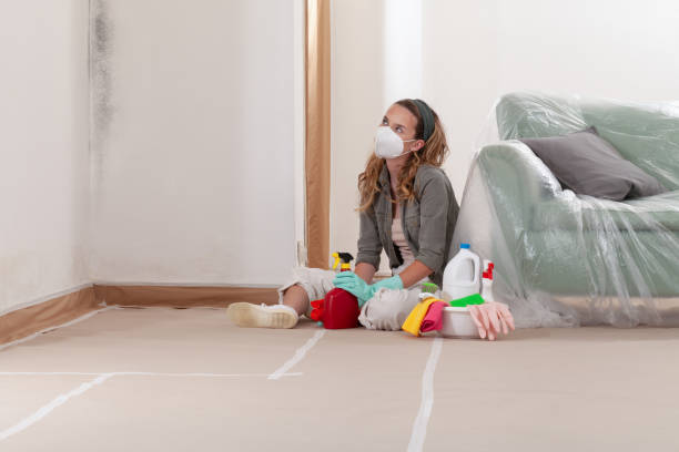 Reliable Mold Remediation contractor in Saugus, MA by Cheap Mold Removal